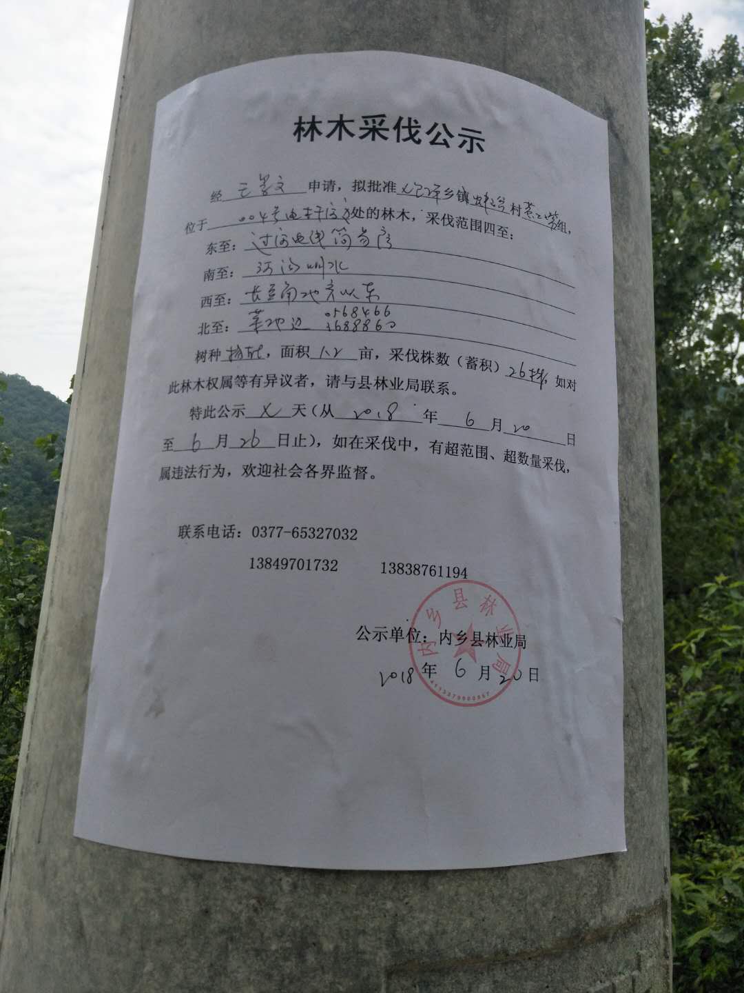 王景文采伐公示