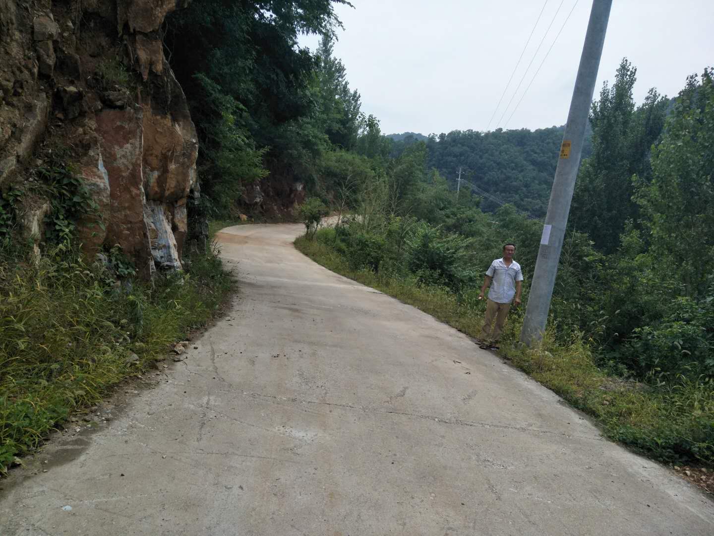 王景文采伐公示