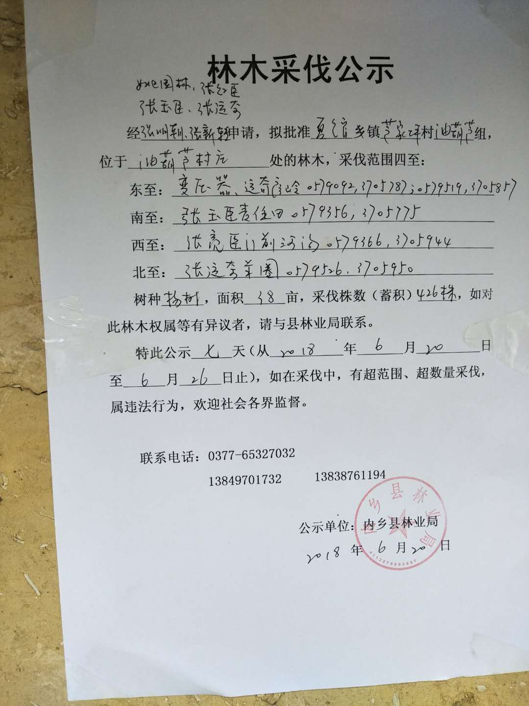 姚国林采伐公示