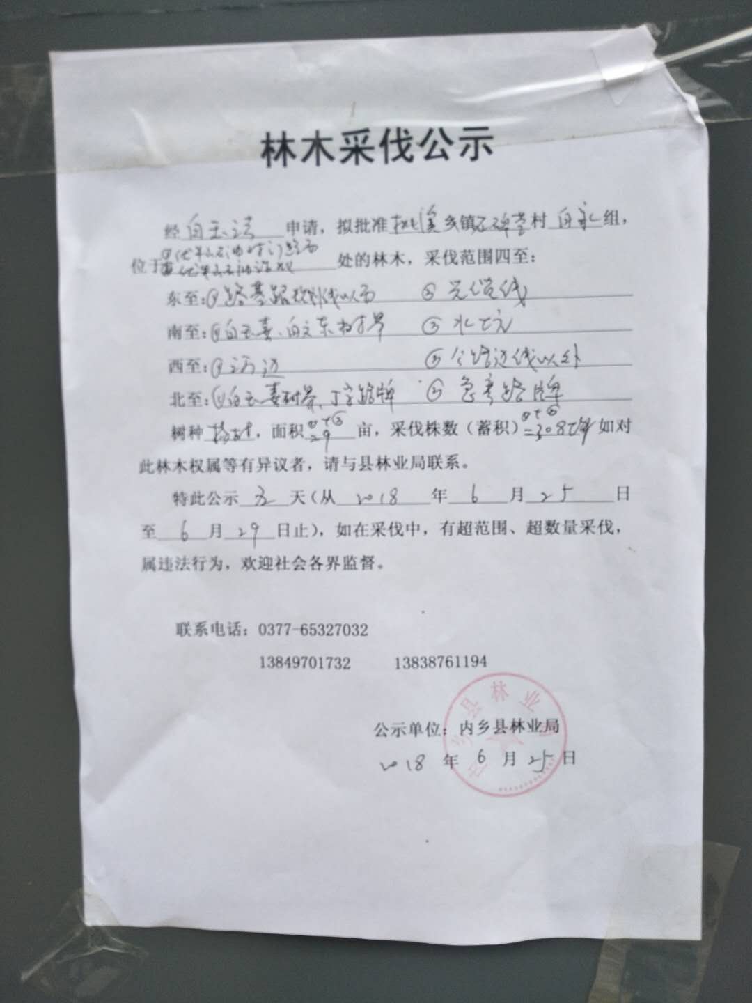 白玉法采伐公示