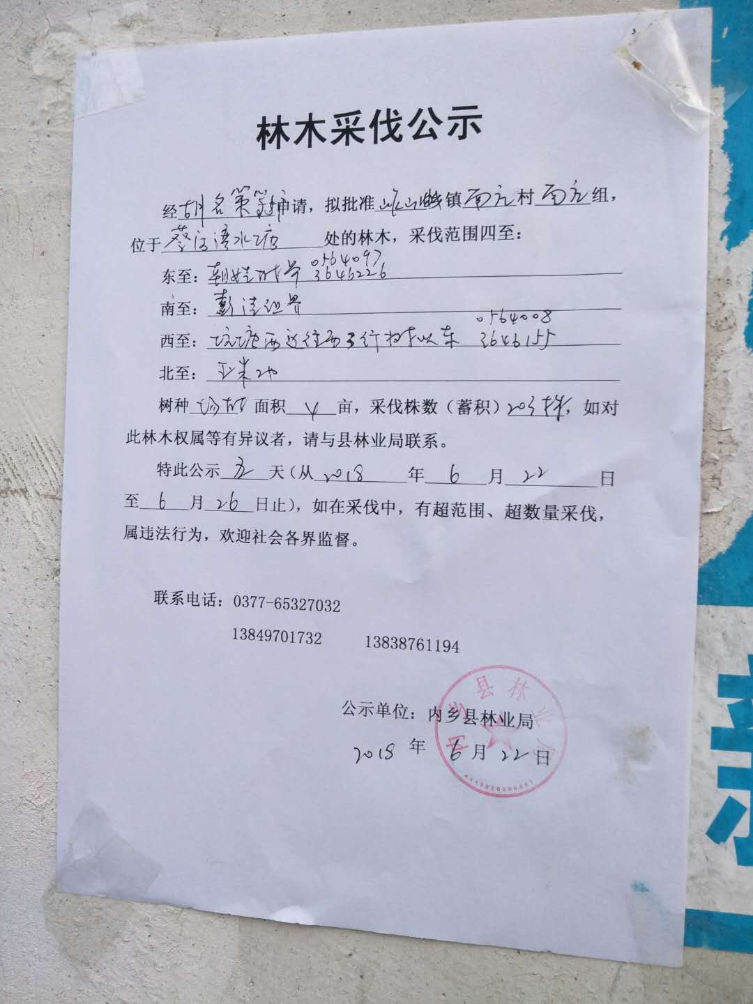 胡名策采伐公示