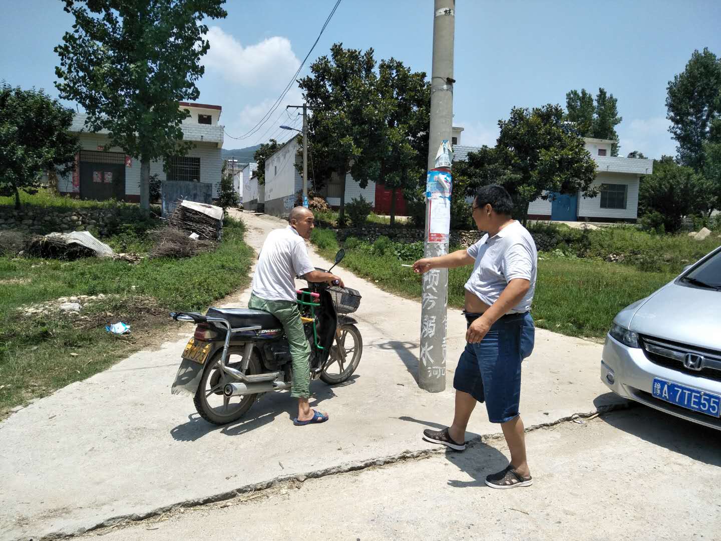 孙灵伟采伐公示