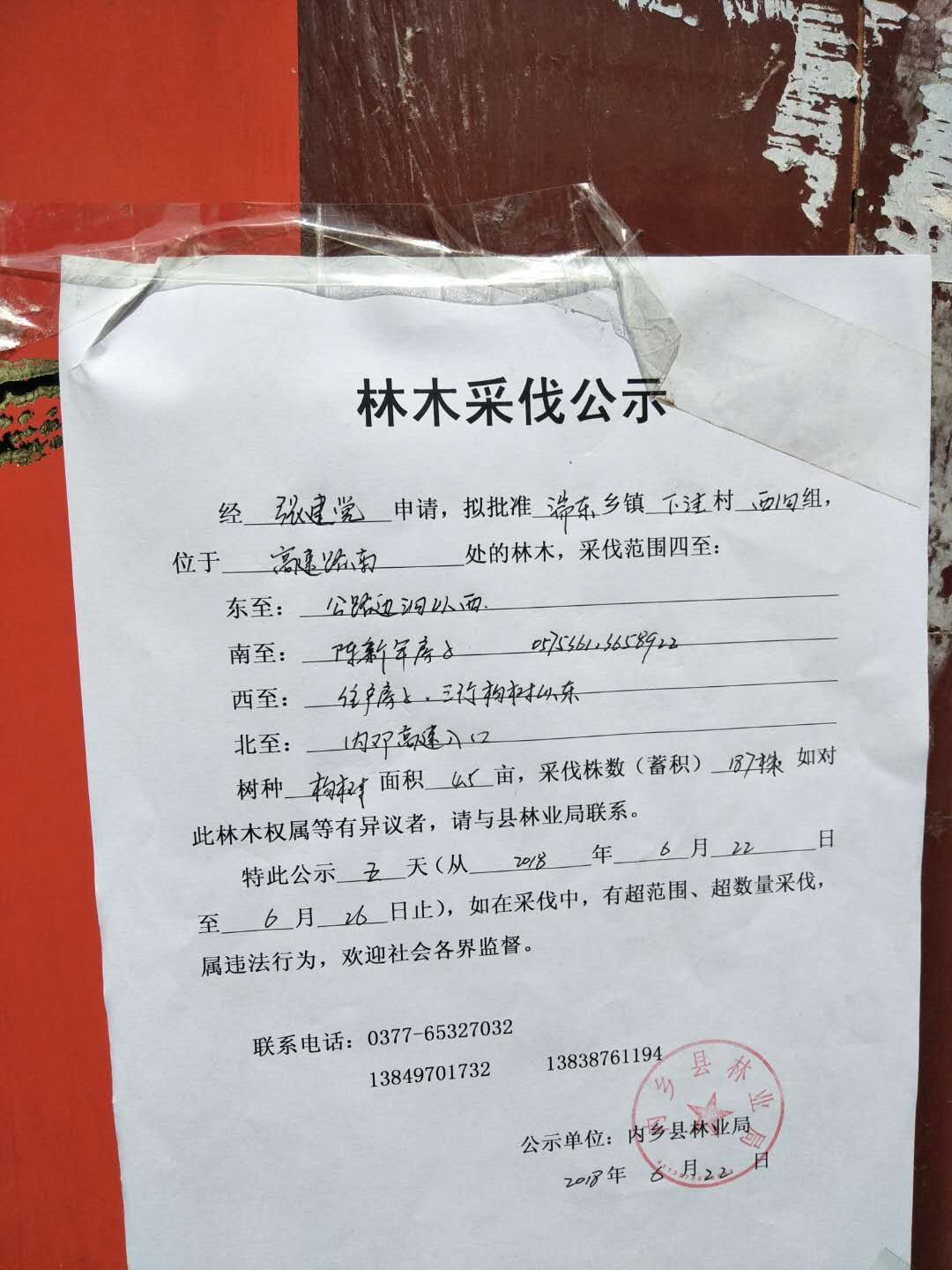 张建党采伐公示