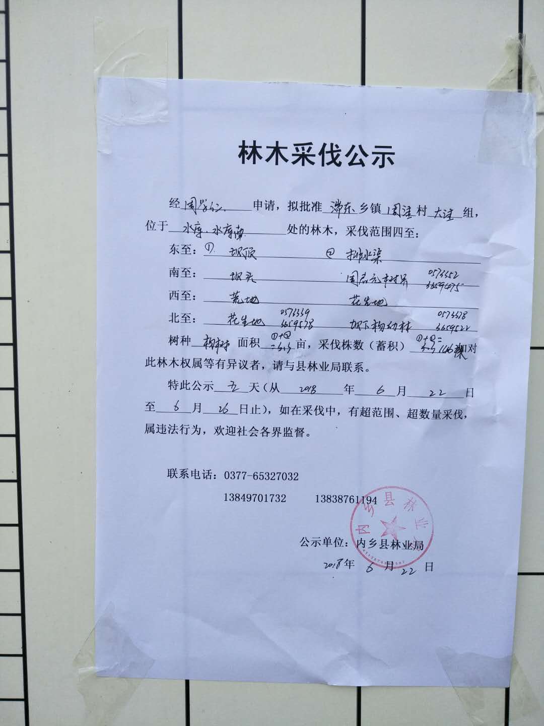 周学仁采伐公示