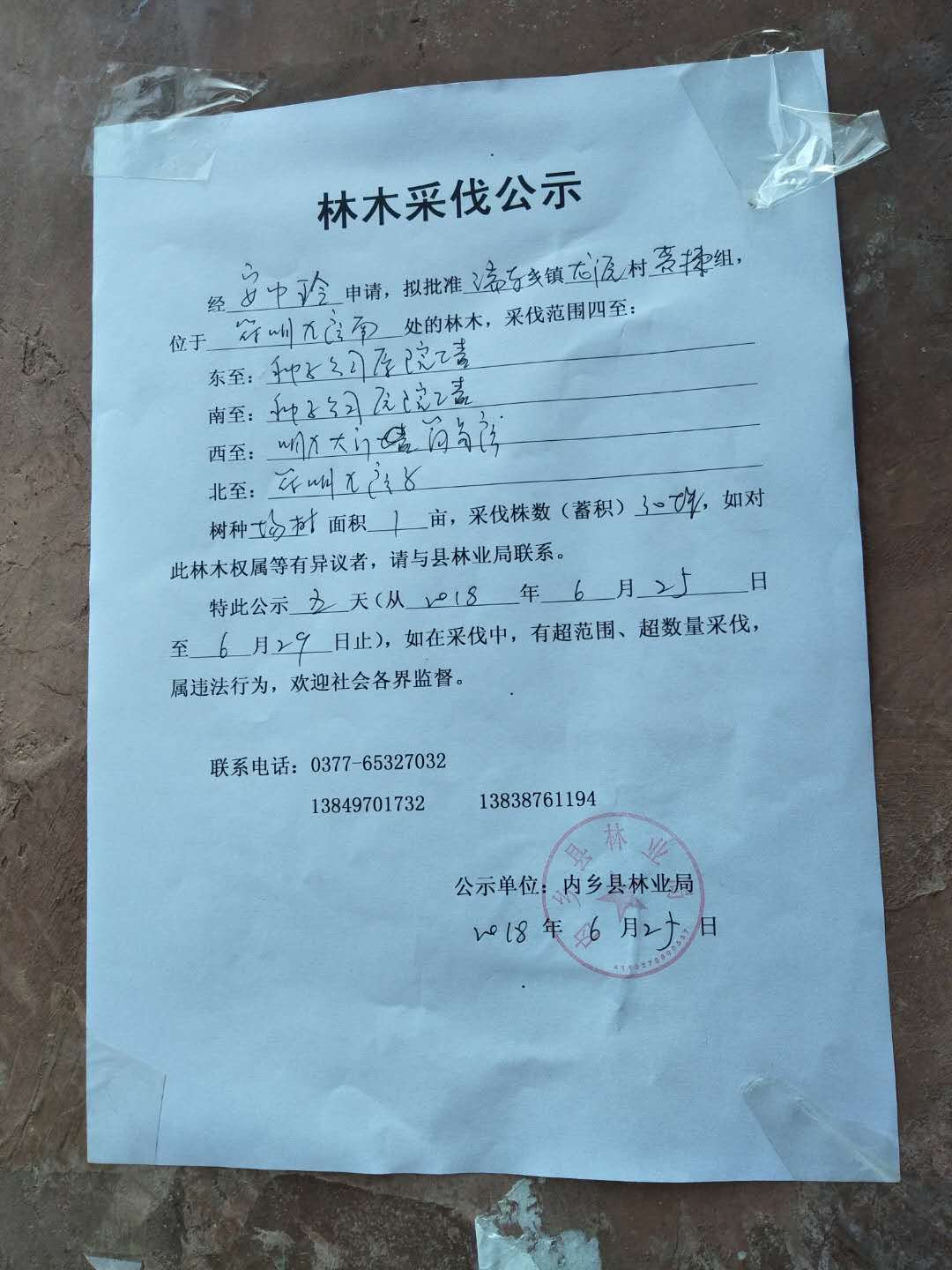 安中玲采访公示