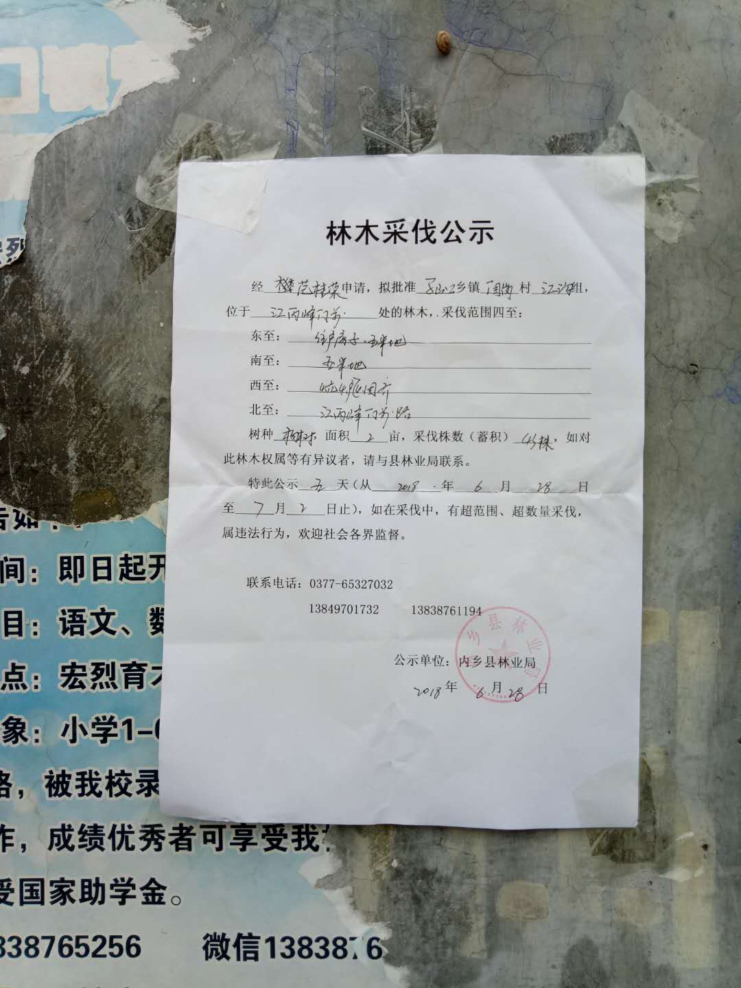 范桂荣采伐公示